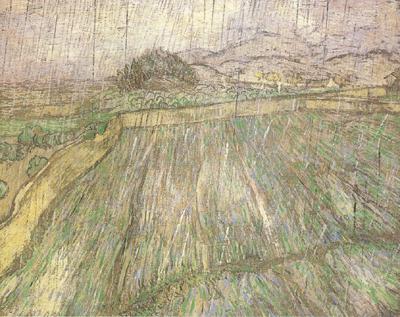 Vincent Van Gogh Wheat Field in Rain (nn04) oil painting picture